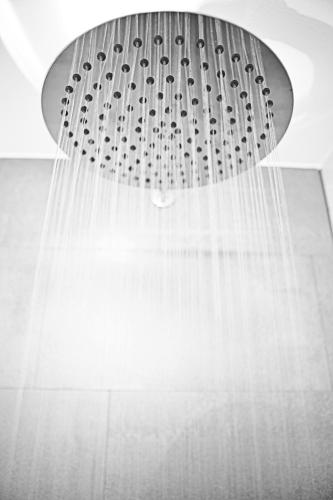 a shower with a shower head in a bathroom at Villa Sepp in Ramsau im Zillertal
