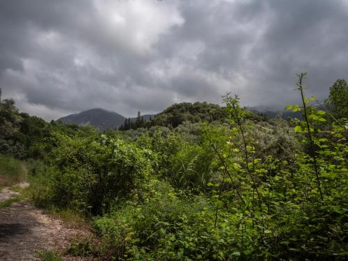a dirt road with bushes and trees on a hill at Sivros Stone Cottages in Sívros