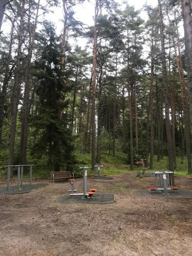 Gallery image of Sea&Sand apartments in Juodkrantė