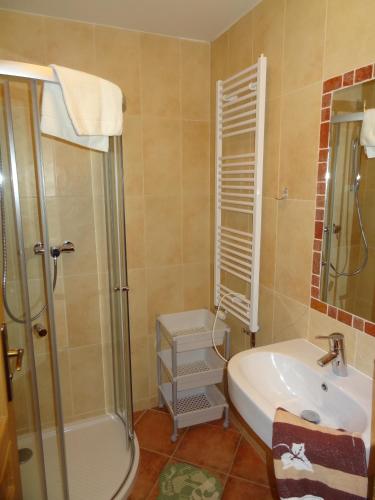 a bathroom with a shower and a sink at Apartmány Pod Javorem in Pec pod Sněžkou