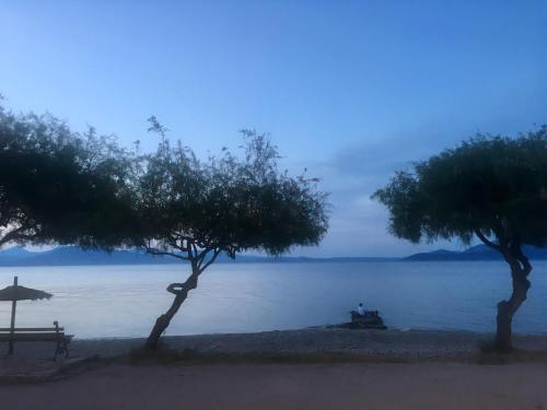 Fotografie z fotogalerie ubytování Eratous Seaside House v destinaci Agii Dimitrios ke Panteleimon