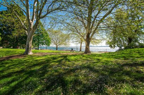 a group of trees in a park near the water at Hôtel Des Arts in Neuchâtel