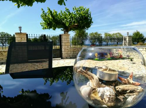 a glass bowl with a sea turtle in it at Eleftheria's Apartments in Eratini