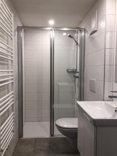 a bathroom with a shower and a toilet and a sink at Zum schwarzen Rössl in Strengberg