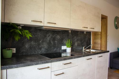 a kitchen with white cabinets and a sink at Living Apartment Maurer in Sautens