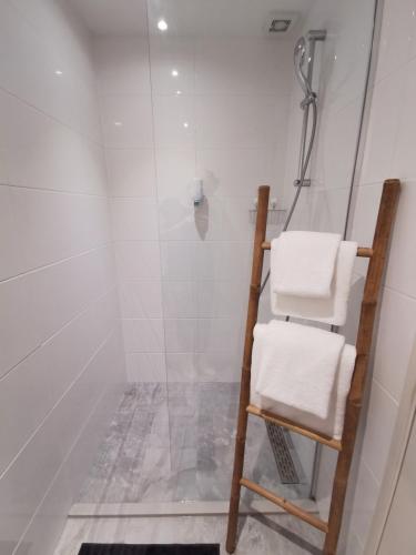 a shower with a glass door and a chair in a bathroom at Mio appartementen in Zandvoort