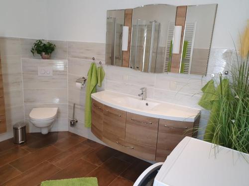 ein Badezimmer mit einem Waschbecken, einem WC und einem Spiegel in der Unterkunft Fuchsbaude in Allrode
