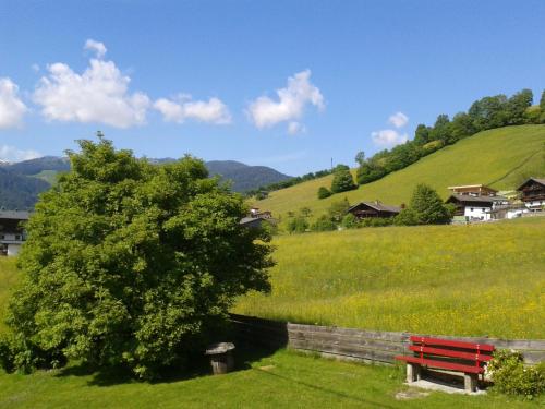 Gallery image of Pension Alpenstern in Oberau