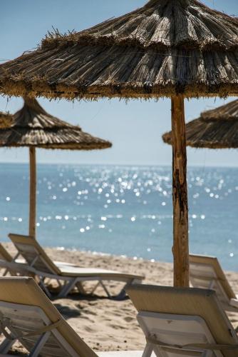 a group of chairs and umbrellas on a beach at Radisson Blu Resort & Thalasso Hammamet in Hammamet