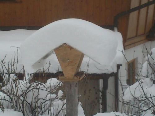 Gallery image of Pension Alpenstern in Oberau
