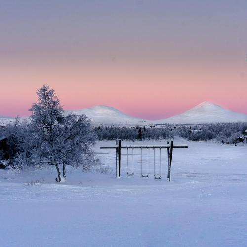 a pair of ski poles in a snowy field with a tree at Venabu Fjellhotell in Venabygd