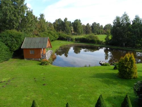 a small house in a field next to a pond at Antano Razgaus kaimo turizmo sodyba in Plateliai