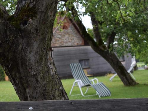 two chairs sitting in a yard next to a tree at Ferienhaus Rustica in Rohrbach am Kulm
