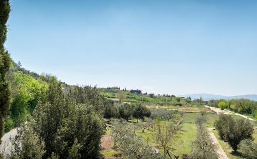 a view of a field with trees and a road at La Piaggia in Assisi