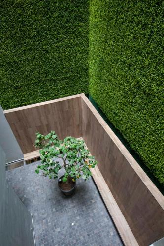 a plant in a planter next to a green wall at Tierra Viva Miraflores Centro in Lima