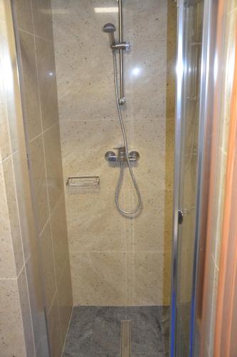 a shower with a glass door in a bathroom at Penzion Aurooms in Zlatníky