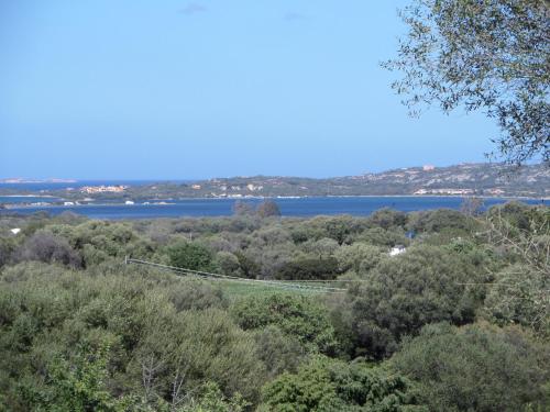 a view from the top of a hill with trees and water at Agriturismo Sa Mendhula in Cugnana