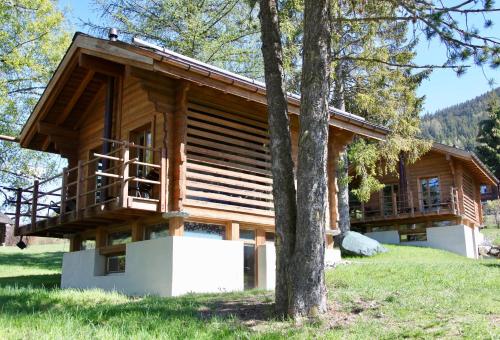 a log cabin in the woods with a tree at Les Mazots de la Source & Spa in Vercorin
