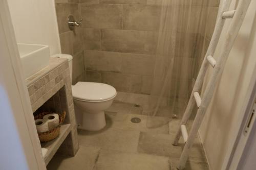 a small bathroom with a toilet and a shower at Casas de Mértola 29 in Mértola