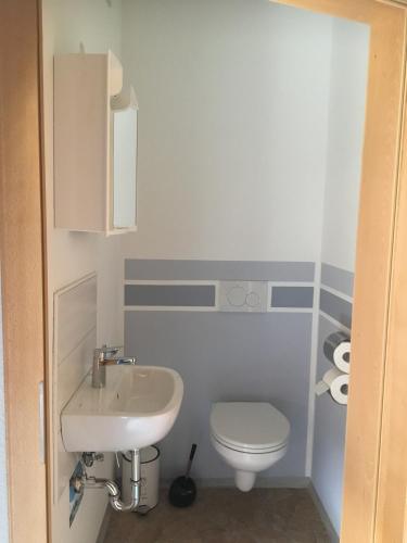 a bathroom with a white toilet and a sink at Zehnthof in Geldersheim