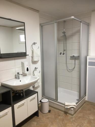 a bathroom with a shower and a sink at Zehnthof in Geldersheim