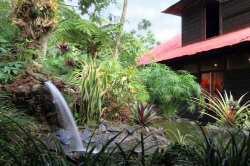 a garden with a waterfall in front of a house at Argovia Ecolodge in Tapachula
