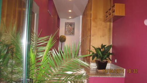 Apartamento Arriondas