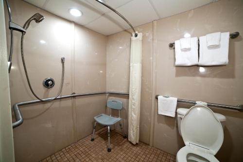 a bathroom with a shower and a toilet and a stool at DeSoto Beach Hotel in Tybee Island