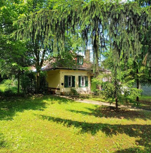 a small yellow house with a tree in front of it at Muskátli Üdülőház in Parádfürdő-Peres