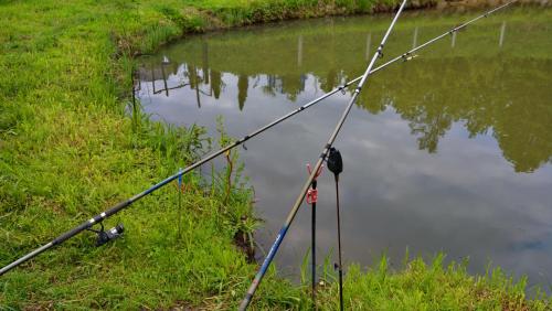 a pair of fishing poles in front of a pond at Casa Papițu in Vadu Izei
