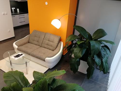 a living room with a couch and a plant at Apartmány Duo in Dačice