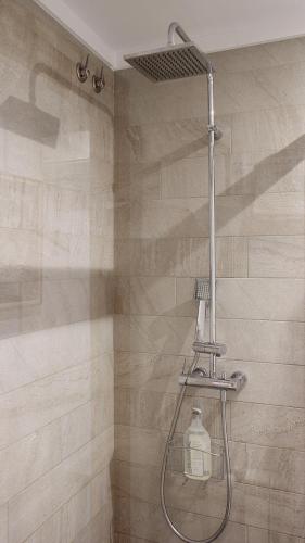 a shower with a bottle of soap in a bathroom at Apartament Margarit in Girona