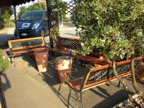 a group of benches sitting next to a tree at Aer Hotel Malpensa in Oleggio