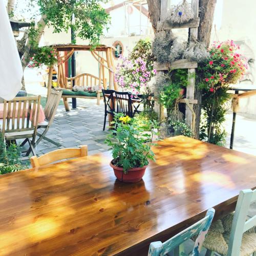 a wooden table with potted plants on a patio at The Iskemleci Guest House in North Nicosia