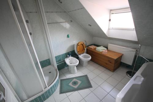 a small bathroom with a toilet and a sink at Penzion Eva Krnov in Krnov
