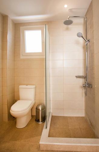 a bathroom with a toilet and a shower at Porfyris Studios and Apartments in Karpathos Town