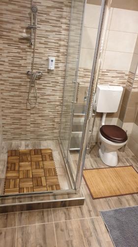 a bathroom with a shower and a toilet with a wooden floor at River Star in Sîngeorgiu de Pădure