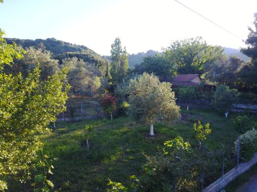 a garden with trees and a fence at Villa Ioanneta in Achladi