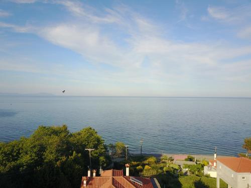 a bird flying over a large body of water at Villa Ioanneta in Achladi