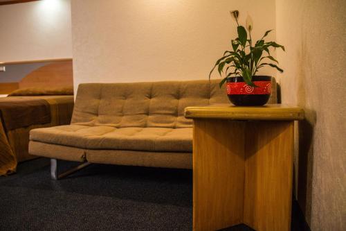 a couch in a room with a potted plant on a table at Hotel Milan CDMX in Mexico City