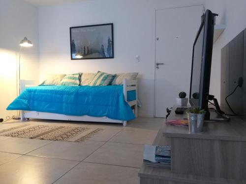 een slaapkamer met een blauw bed en een televisie bij Apartamento Benegas in Mendoza