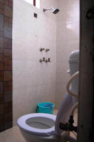 a bathroom with a toilet and a shower stall at Sai Palace in Agra