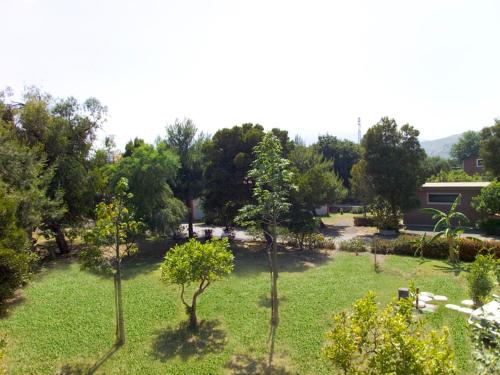 a garden with two trees in the grass at Villaggio Alkantara in Giardini Naxos