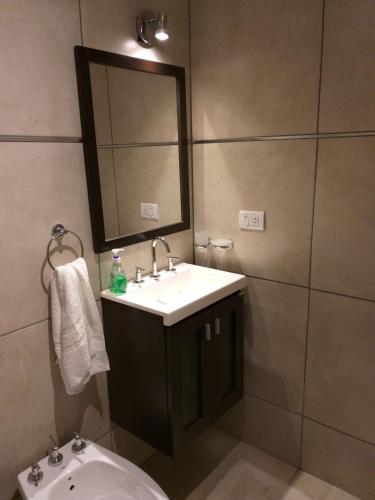 a bathroom with a sink and a mirror and a toilet at Apartamento Benegas in Mendoza