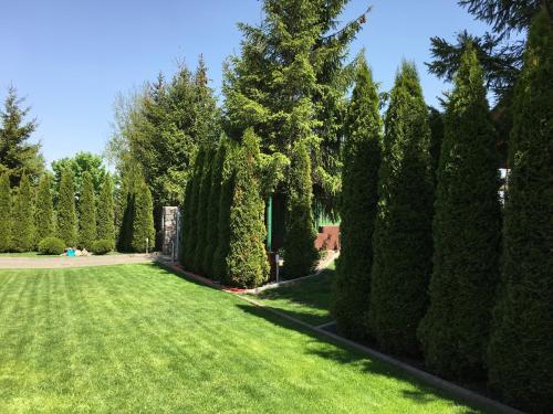 a garden with trees and a green lawn at Domki Wczasowe Papaya in Kołobrzeg
