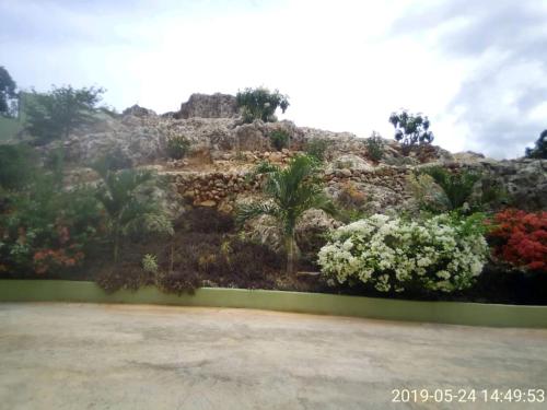 a mural of a mountain with flowers and trees at Eve's Rockaway Villa in Alligator Pond Village