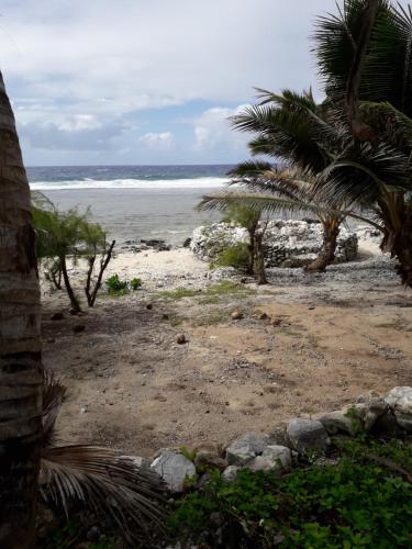 Titikawekaにある2rangi Beach Homestay at Mirimiri Spaのヤシの木と海の砂浜