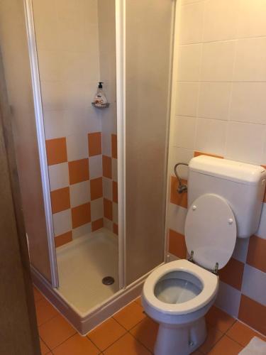 a bathroom with a toilet and a shower at BC10 in Bovec