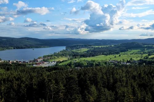 an aerial view of a lake and a town at Apartmán Riviéra Lipno 510/21 in Lipno nad Vltavou