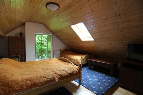 - une chambre avec un lit et une fenêtre dans l'établissement Casuta cu Zorele, à Martinie